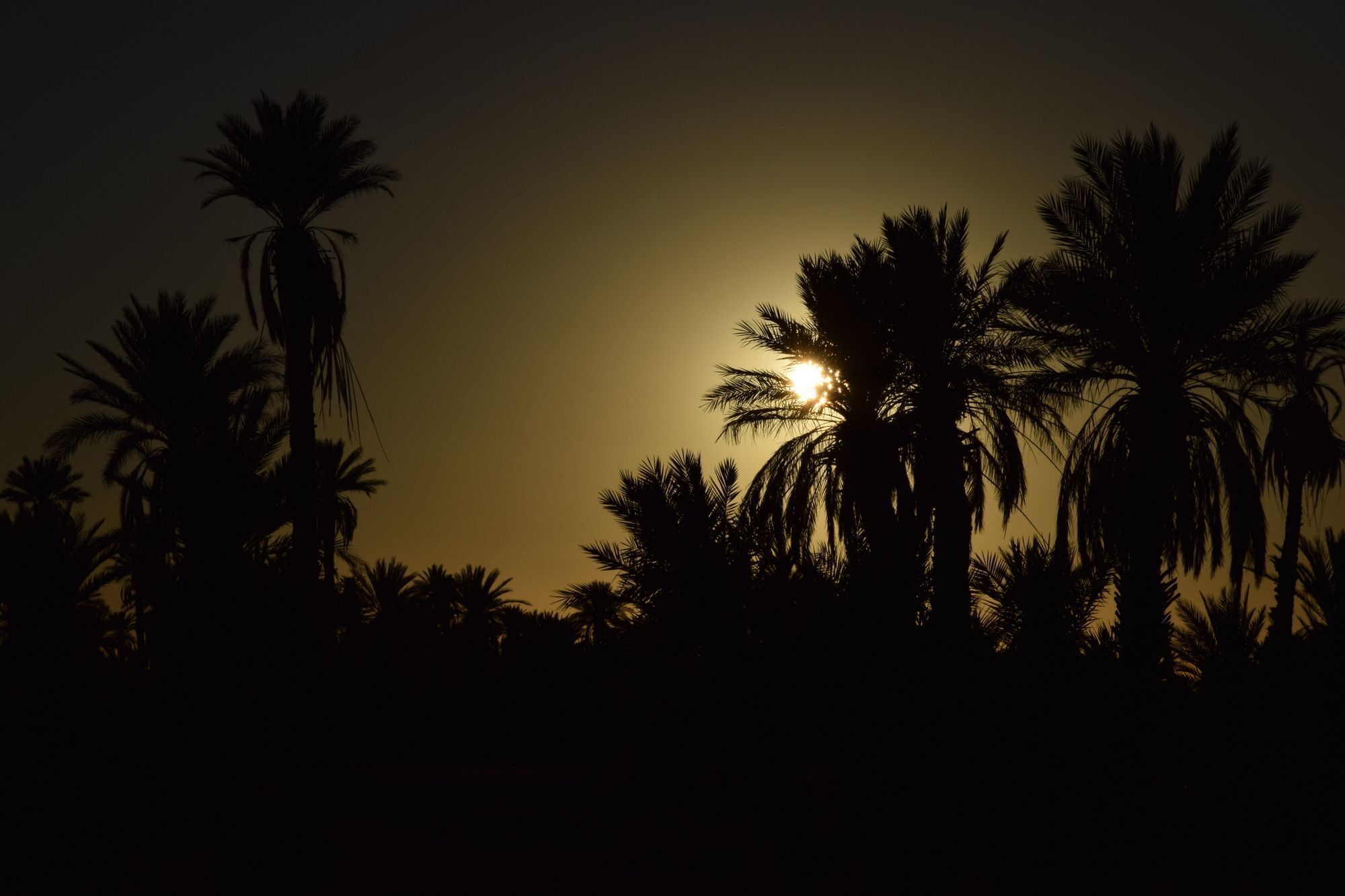 Carrefour Des Nomades Otel Oulad Driss Dış mekan fotoğraf
