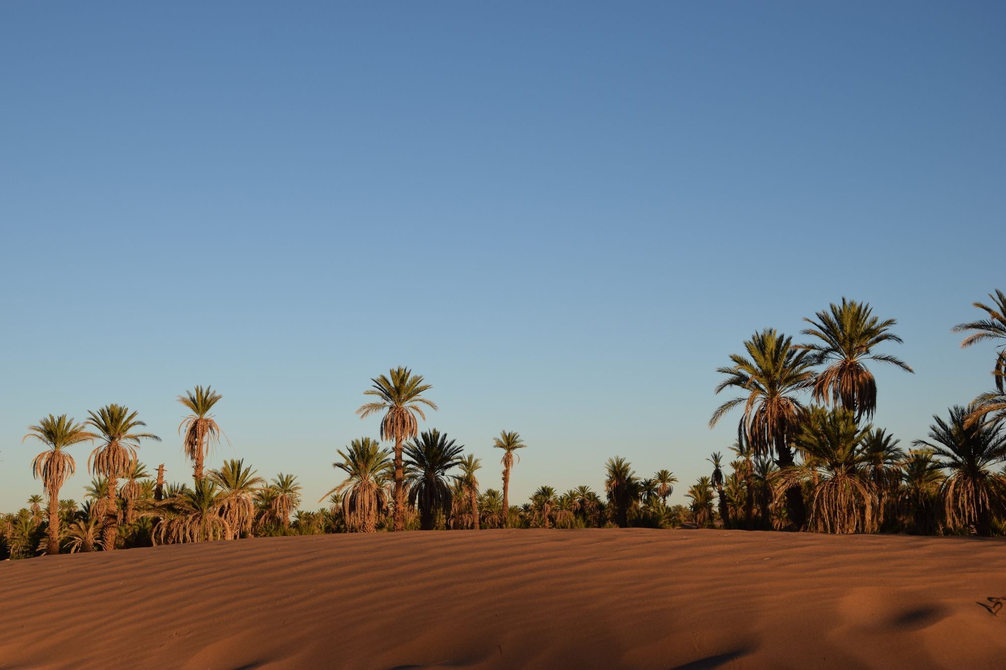 Carrefour Des Nomades Otel Oulad Driss Dış mekan fotoğraf